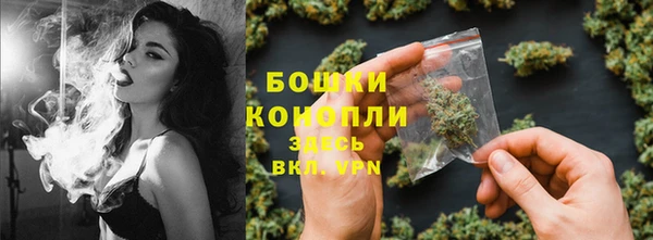 PSILOCYBIN Абаза