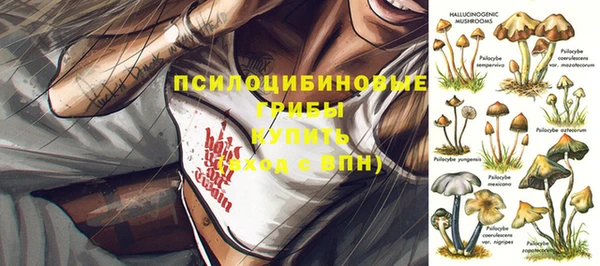 PSILOCYBIN Абаза